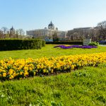Vienna in spring: Volksgarten